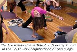 wild yogi